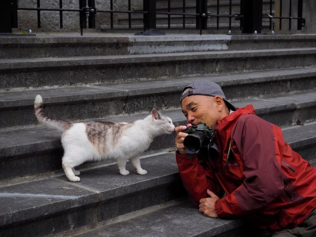 ネコ！猫！ねこ！『劇場版　岩合光昭の世界ネコ歩き　コトラ家族と世界のいいコたち』フォトギャラリー（9枚目）