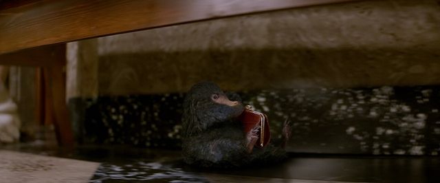 Niffler.jpg