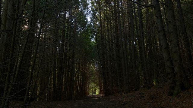絶景！『赤毛のアン』のロケ地プリンス・エドワード島フォトギャラリー（5枚目）