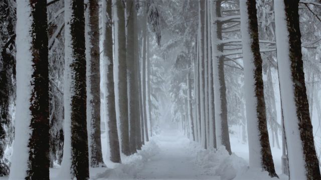 絶景！『赤毛のアン』のロケ地プリンス・エドワード島フォトギャラリー（8枚目）