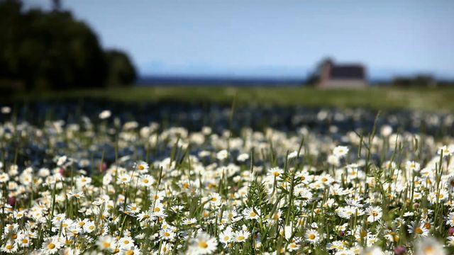 絶景！『赤毛のアン』のロケ地プリンス・エドワード島フォトギャラリー（11枚目）