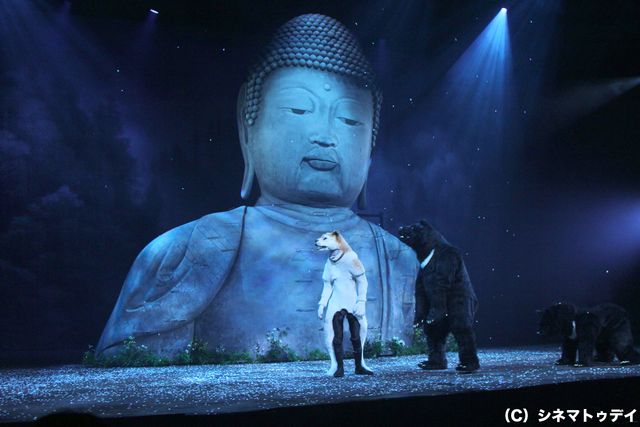 KAT-TUNの上田竜也主演！舞台「冬眠する熊に添い寝してごらん」フォトコール＆囲み取材フォトギャラリー（4枚目）