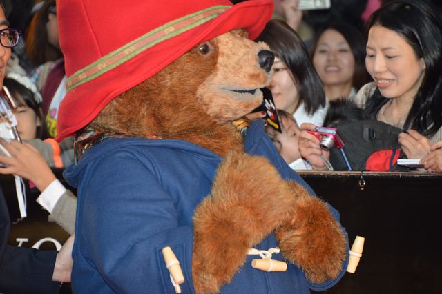 木村文乃、純白ドレスで華やかにレッドカーペット登場！フォトギャラリー（16枚目）