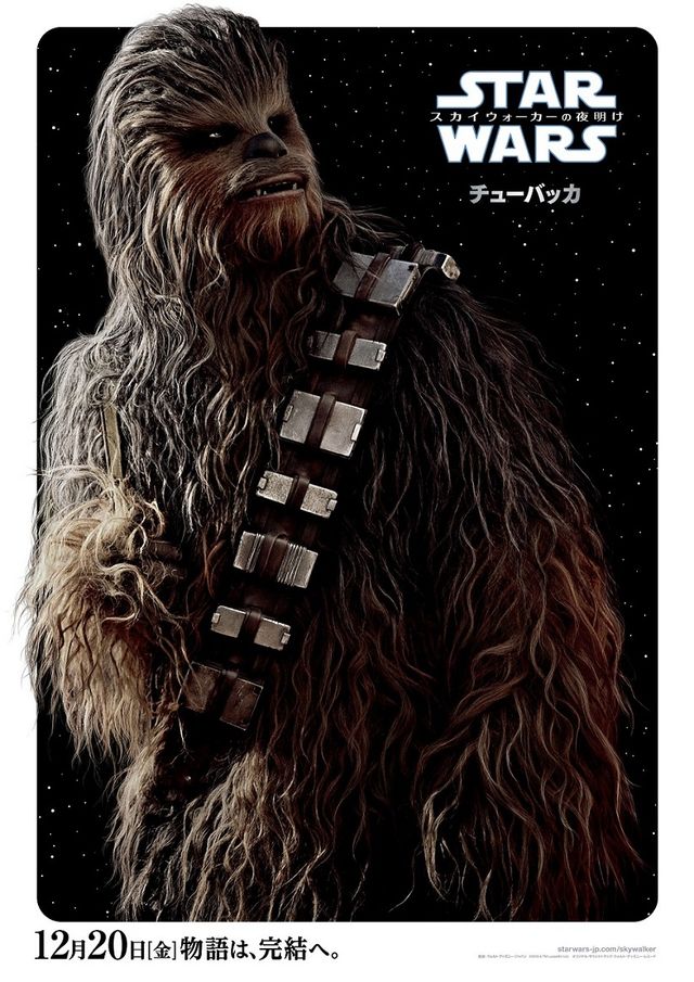 【全13枚】『スター・ウォーズ／スカイウォーカーの夜明け』キャラクターポスター（7枚目）