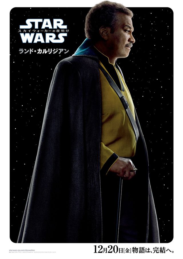 【全13枚】『スター・ウォーズ／スカイウォーカーの夜明け』キャラクターポスター（10枚目）
