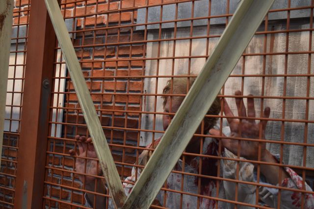 アメリカ最大のオタクイベント「コミコン2014」前夜祭フォトギャラリー（22枚目）