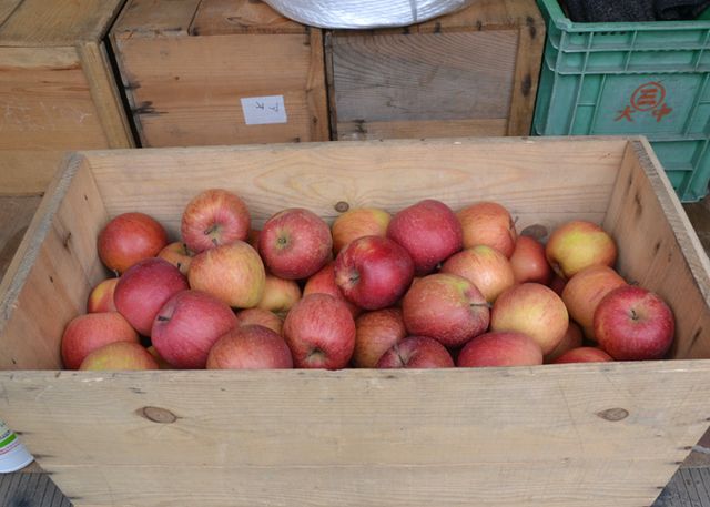 映画『奇跡のリンゴ』弘前凱旋プレミア　フォトギャラリーPART2（14枚目）