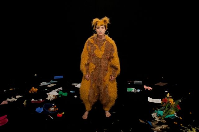 名女優イザベラ・ロッセリーニの動物コスプレ！フォトギャラリー：フォトギャラリー