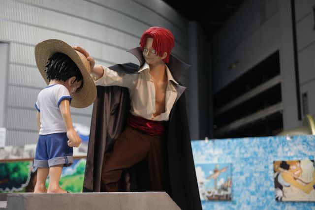 「ワンピースグランドアリーナツアーinさいたま」（9枚目）