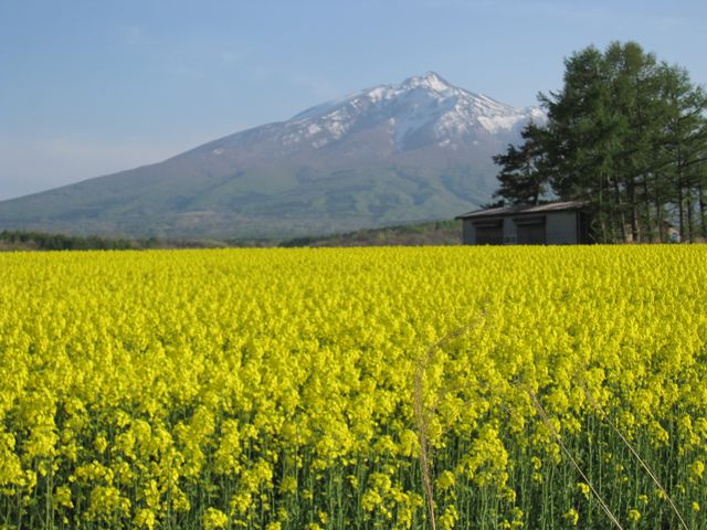 津軽半島写真ギャラリー（7枚目）