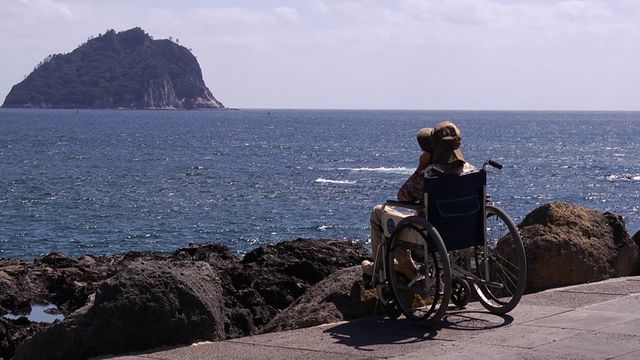 歴史に引き裂かれながらも貫いた70年の愛……ドキュメンタリー映画『ふたつの祖国、ひとつの愛～イ・ジュンソプの妻～』フォトギャラリー（6枚目）