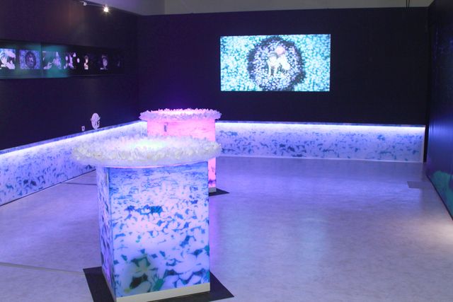 「魔法少女まどか☆マギカ展」等身大フィギュアも！　フォトギャラリー（5枚目）