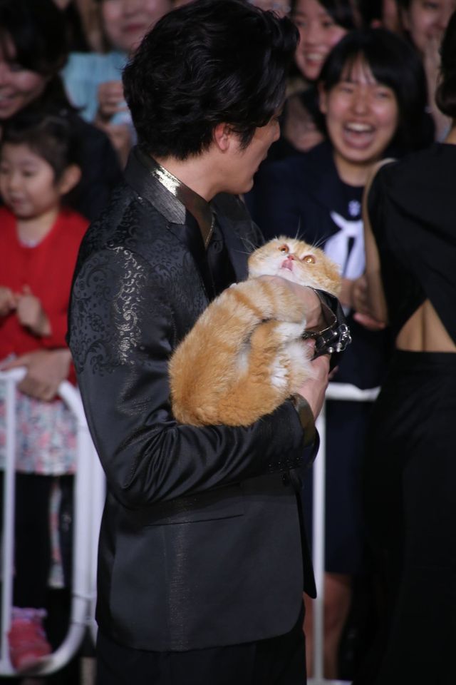 綾瀬はるか、斎藤工、水原希子、間宮祥太朗らがドレスアップしてリムジンで登場！映画『高台家の人々』レセプションパーティーフォトギャラリー（47枚目）