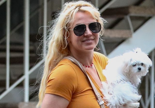 ブリトニー・スピアーズ（2023年撮影）