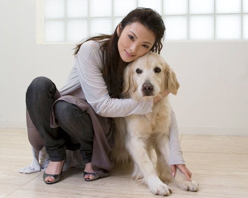 『犬と私の10の約束』田中麗奈＆ソックス　単独インタビュー