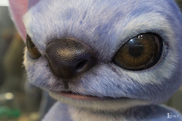 実写版『リロ＆スティッチ』の舞台裏（パペットのスティッチ）（2枚目）