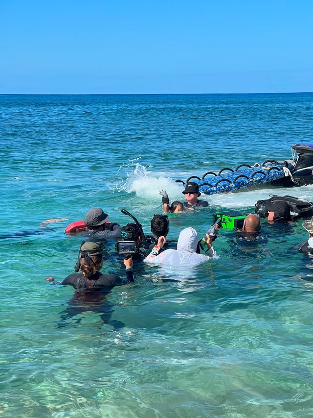 実写版『リロ＆スティッチ』の舞台裏（パペットのスティッチ）（15枚目）