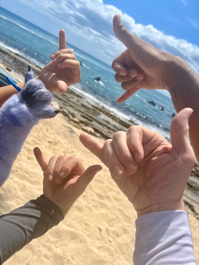 実写版『リロ＆スティッチ』の舞台裏（パペットのスティッチ）（17枚目）