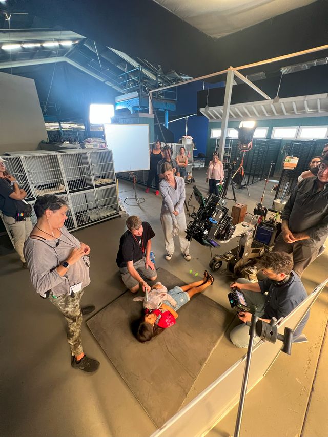 実写版『リロ＆スティッチ』の舞台裏（パペットのスティッチ）（19枚目）