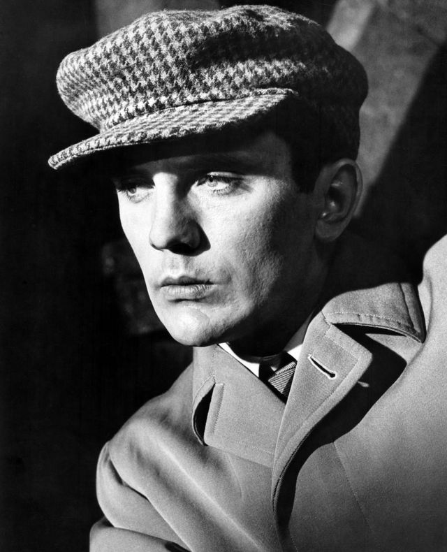 若き日のテレンス・スタンプさん（3枚目）