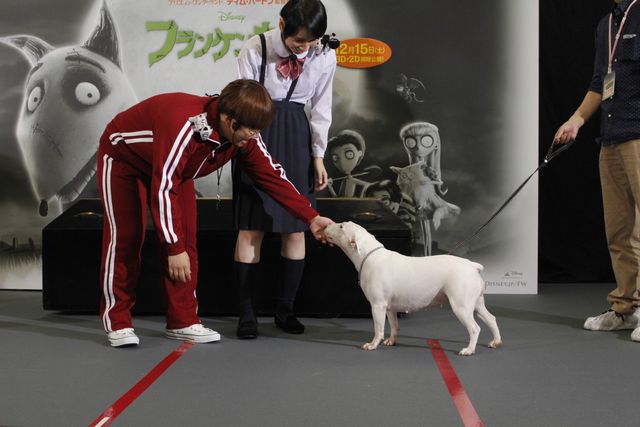 映画『フランケンウィニー』の声優発表イベントフォトギャラリー（12枚目）