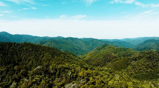 キャストは誰？関ヶ原の合戦後の日本描くスリラー「連続ドラマW　I, KILL」場面写真（7枚目）