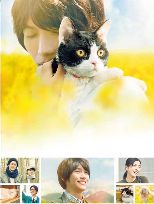 『旅猫リポート』のTV特別版も！金ロー放送作品（7枚目）