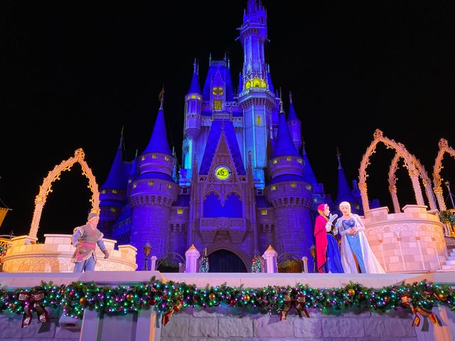 ステージショー「アナと雪の女王：ホリデーウィッシュ」：フォトギャラリー