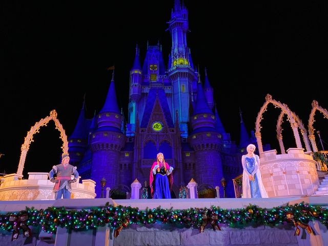 ステージショー「アナと雪の女王：ホリデーウィッシュ」（2枚目）