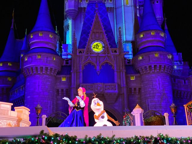 ステージショー「アナと雪の女王：ホリデーウィッシュ」（3枚目）