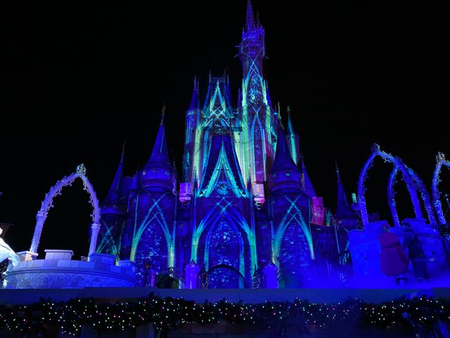 ステージショー「アナと雪の女王：ホリデーウィッシュ」（6枚目）