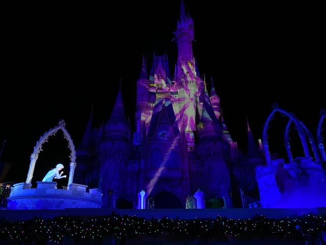 ステージショー「アナと雪の女王：ホリデーウィッシュ」（8枚目）