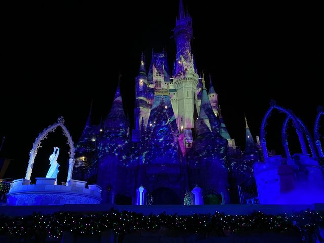 ステージショー「アナと雪の女王：ホリデーウィッシュ」（9枚目）