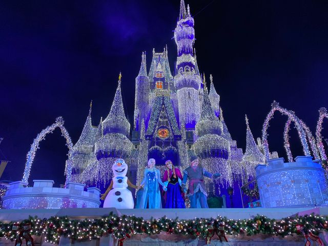 ステージショー「アナと雪の女王：ホリデーウィッシュ」（10枚目）