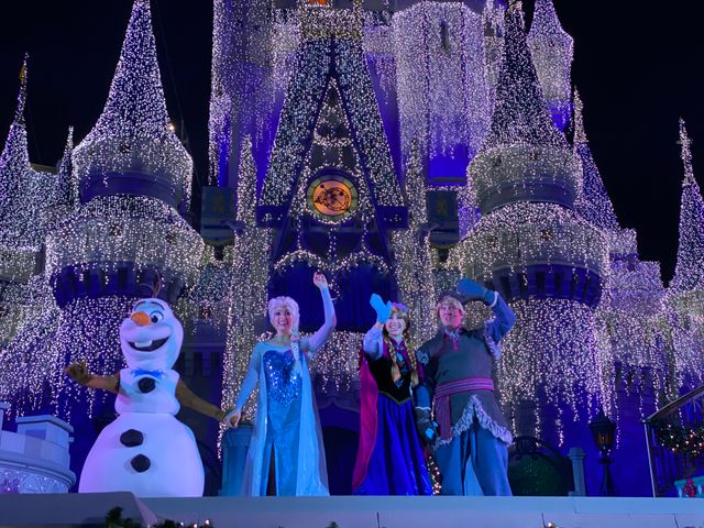 ステージショー「アナと雪の女王：ホリデーウィッシュ」（11枚目）