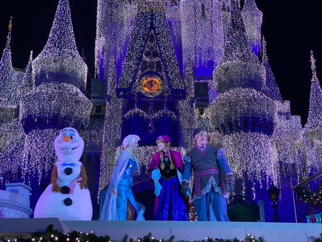 ステージショー「アナと雪の女王：ホリデーウィッシュ」（12枚目）