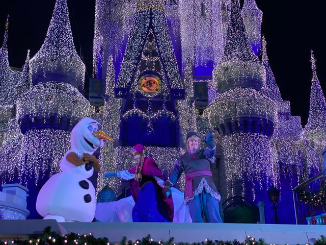 ステージショー「アナと雪の女王：ホリデーウィッシュ」（13枚目）