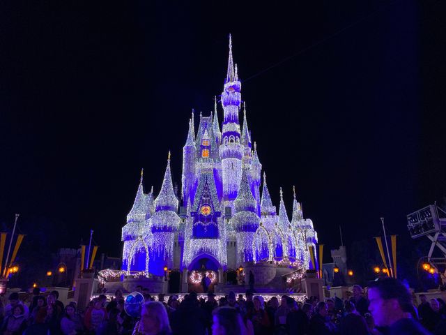 ステージショー「アナと雪の女王：ホリデーウィッシュ」（15枚目）