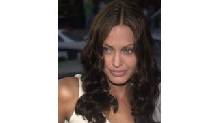 A・ジョリー、自宅敷地から地雷除去