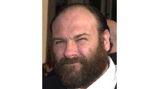 ジェームズ・ガンドルフィーニ、追突事故