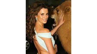 ペネロペ・クルスとマシュー・マコノヒー、『サハラ』スペイン・プレミアで熱々