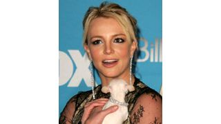 ブリトニー・スピアーズ、お腹の子は女の子？