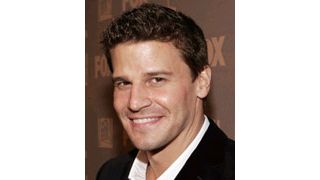 デビッド・ボレナーズ、新作の自由度に大満足