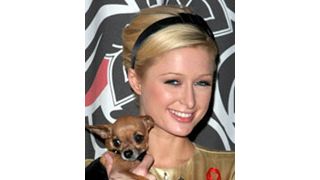 パリス・ヒルトン、最悪の飼い主に選ばれる