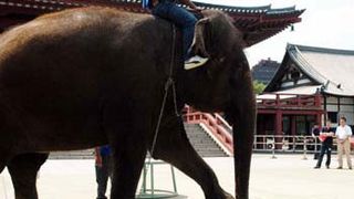 「かってにアカデミー賞」トムを抑えて日本の柳楽がリード！