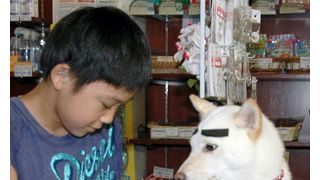 幻のまゆげ犬が温泉に出没！ お色気たっぷり「浴衣脱がせてほしいワン」