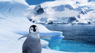 最優秀長編アニメーション賞を、踊るペンギンが受賞！