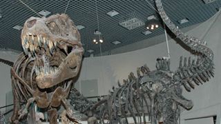 展示物が動き出す!?　閉館後の博物館でナイトツアー開催！