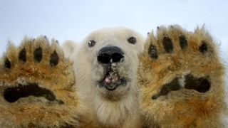 日本全国どこでも15歳までは500円で映画『アース』が観られる