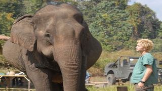 人気コミック「WILD LIFE」が実写映画化！市原隼人が熱血獣医師に挑む！